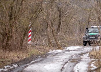 памежнікі
