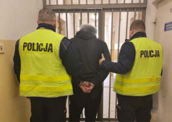нелегалы