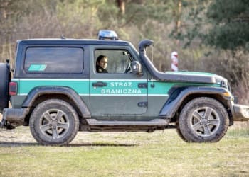 нелегалка