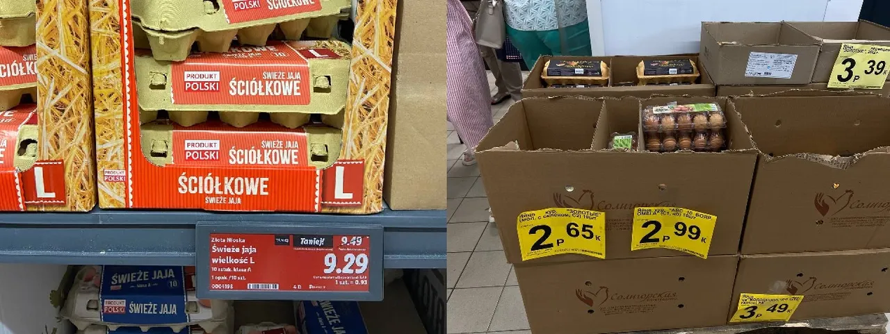 яйца