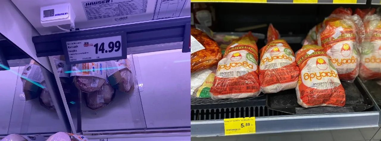 курица
