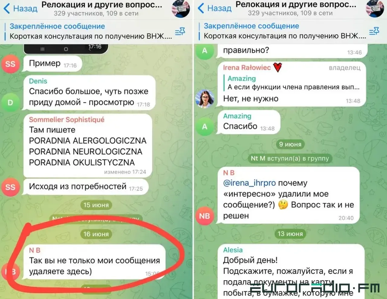 скриншот чата