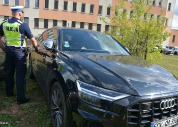 угнали Audi