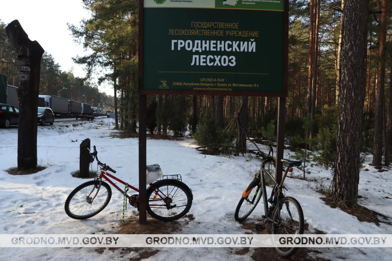 броешнные велосипеды