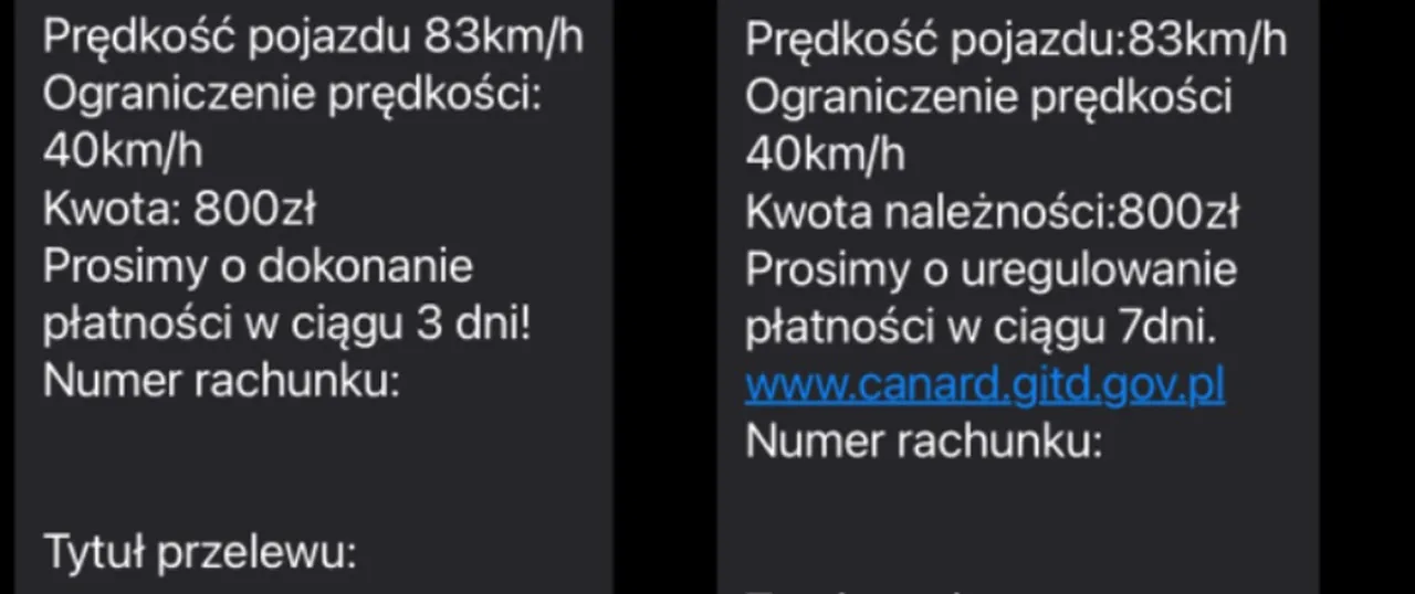 фейковые sms