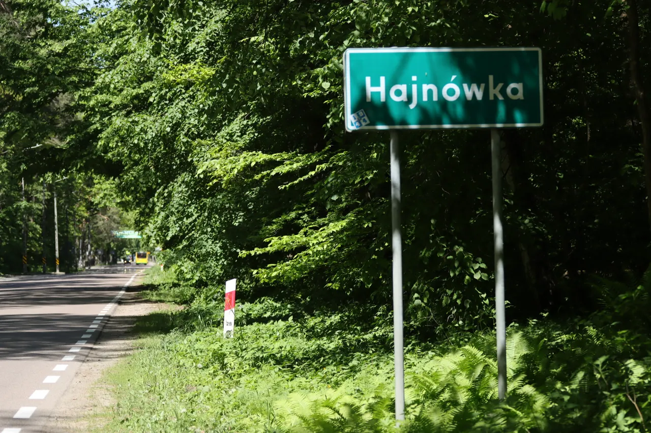 Гайновка