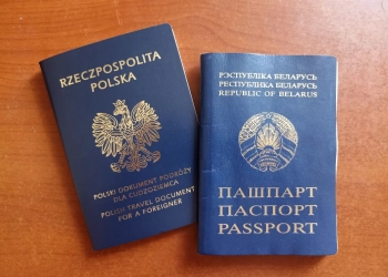 как получить проездной документ иностранца