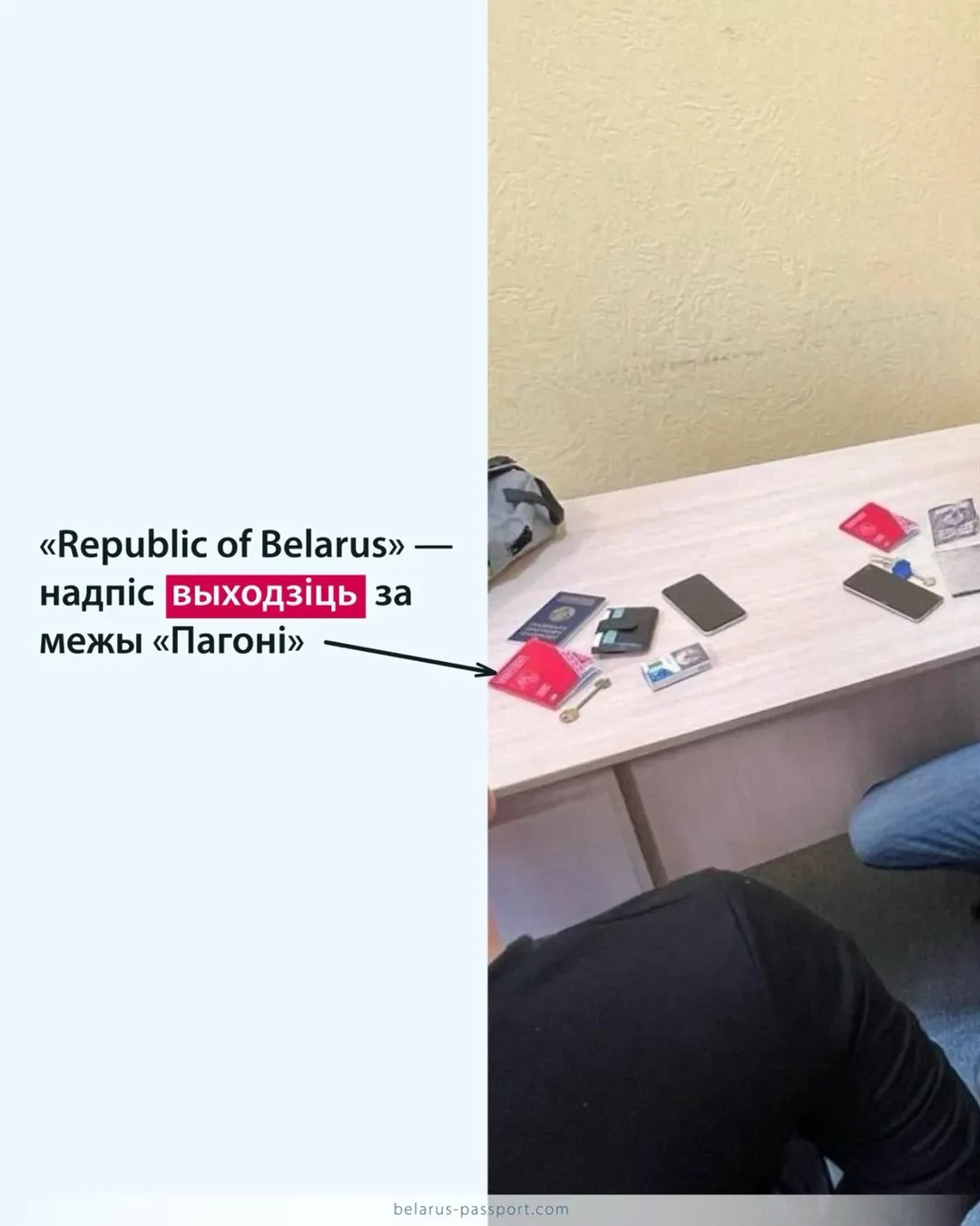 Паспорт Новой Беларуси