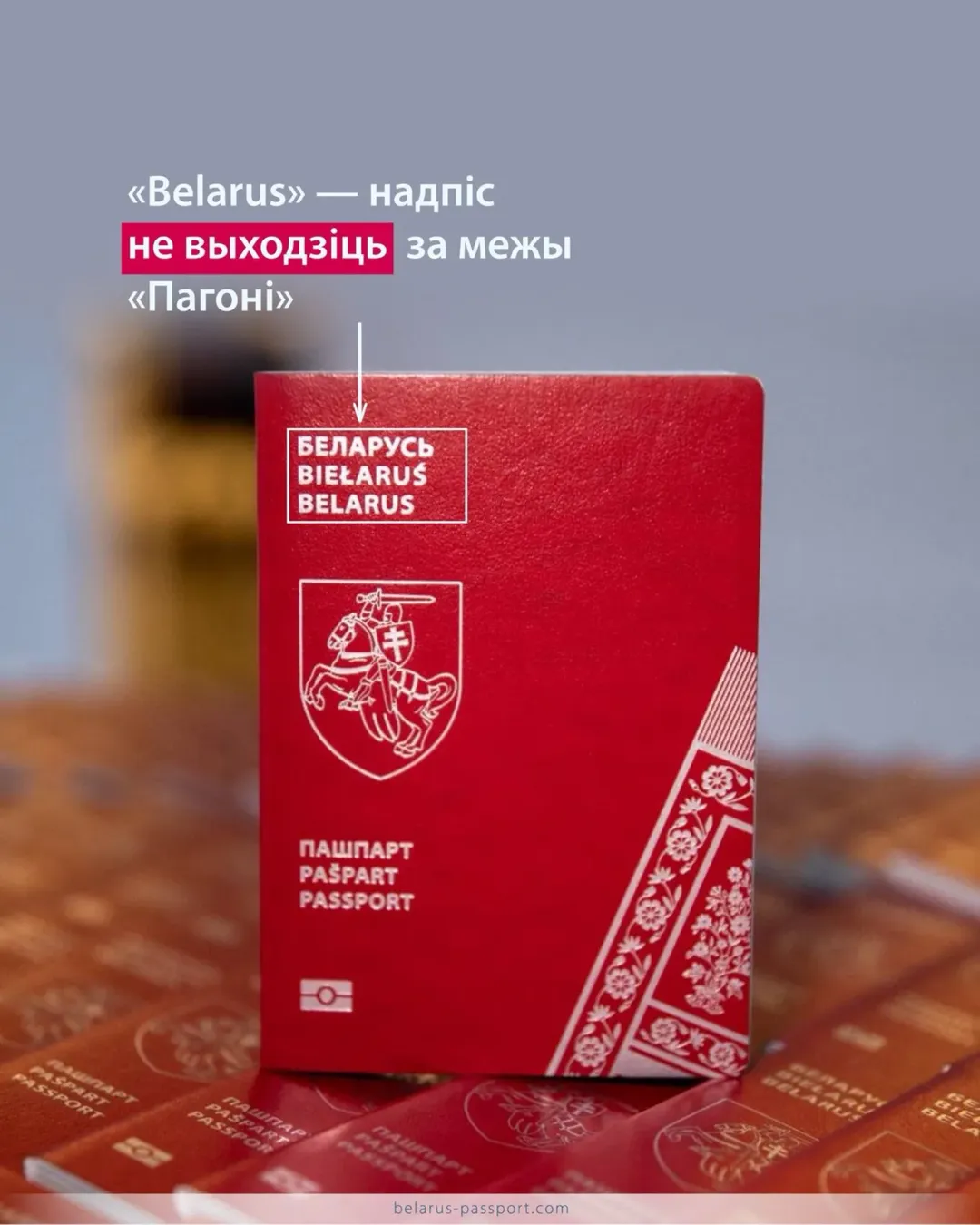 Паспорт Новой Беларуси