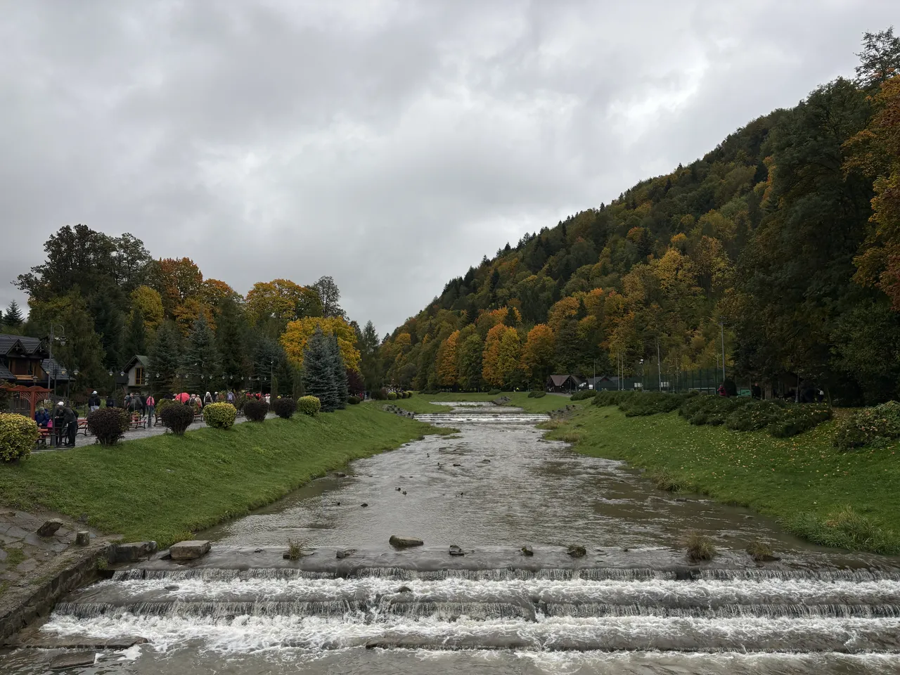 Щавница