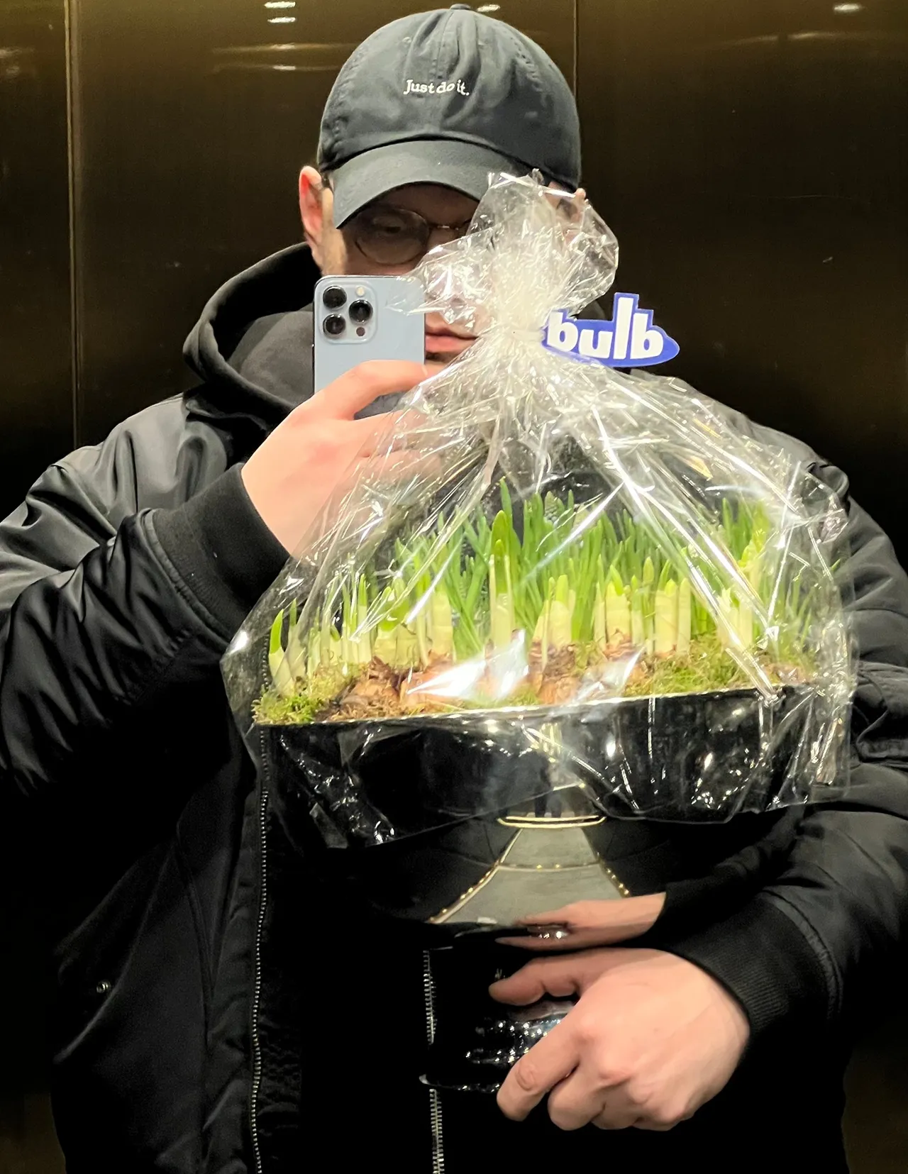 цветы