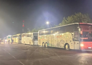 автобусы